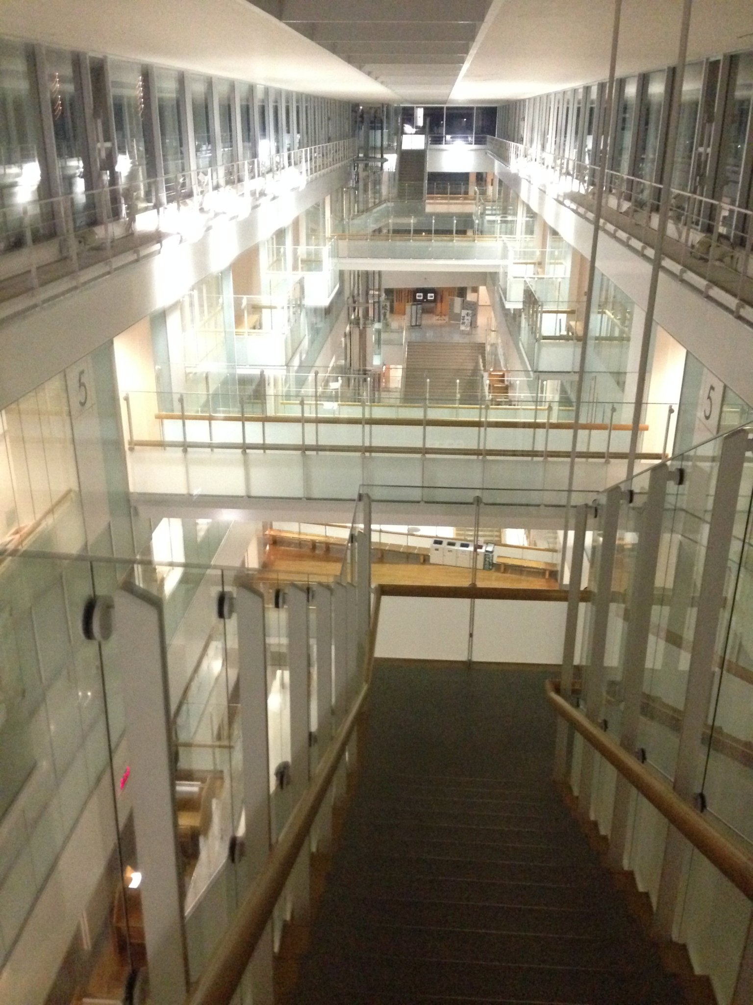 大学